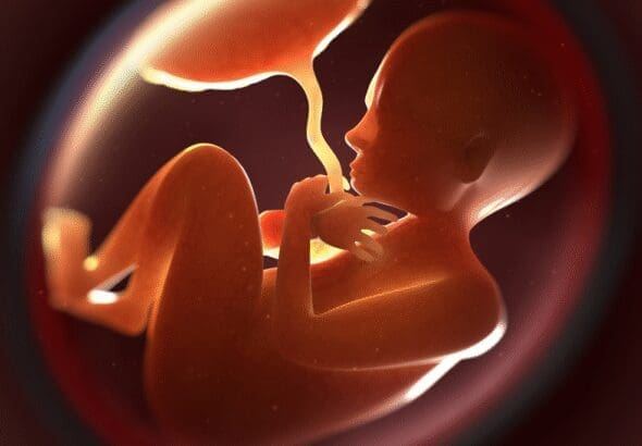 fotos-pagina-web-gh-1