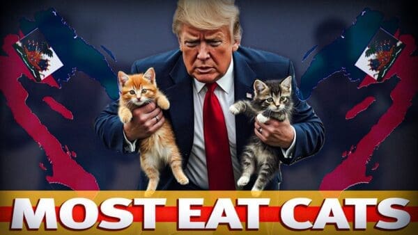 I am Dominican and here we all know that MOST HAITIANS kill and EAT CATS