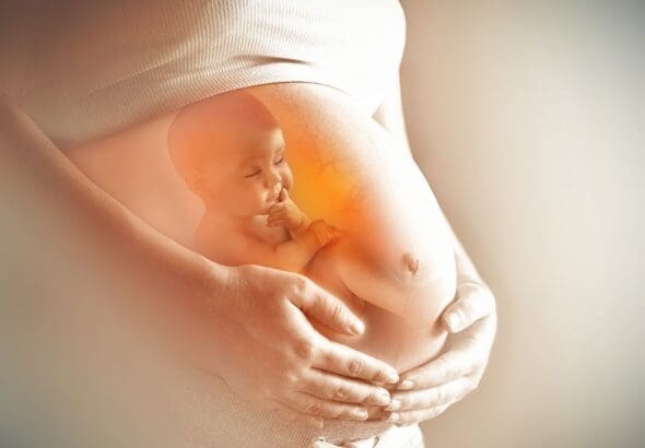 fotos-pagina-web-gh-79