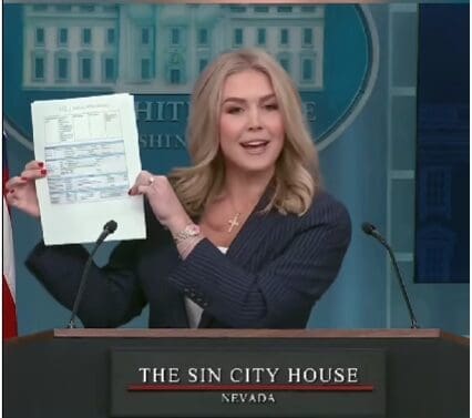 D.O.G.E. has found even more corruption in this city.