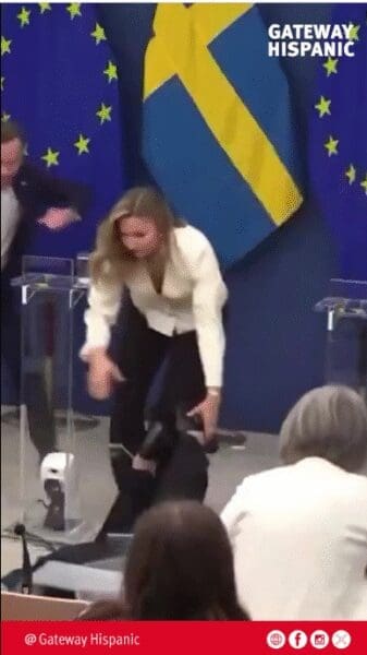 Swedish Democratic Health Minister Collapses During Press Conference