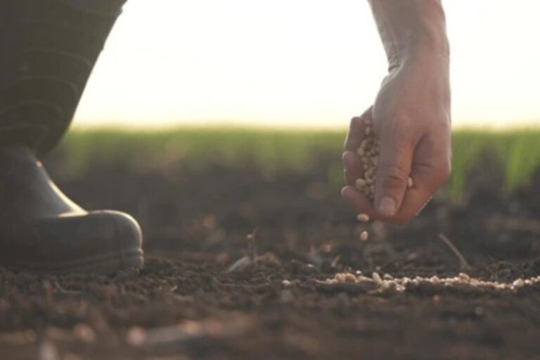 trump-promete-destinar-ingresos-arancelarios-para-rescatar-a-los-agricultores