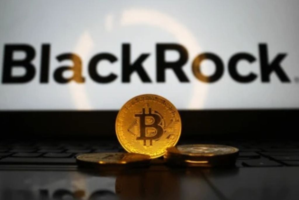 From Wall Street to the Amazon Jungle: BlackRock and Partners Advance in the Tokenization of Physical Assets and Natural Resources