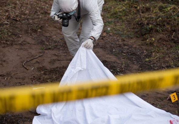 aumentan-los-asesinatos-relacionados-con-los-crteles-trump-condena-la-violencia---mxico-niega-la-existencia-del-problema