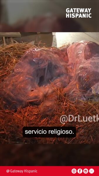 🇩🇪 Otra blasfemia en Navidad mientras la Iglesia católica modernista persigue la Misa Tridentina