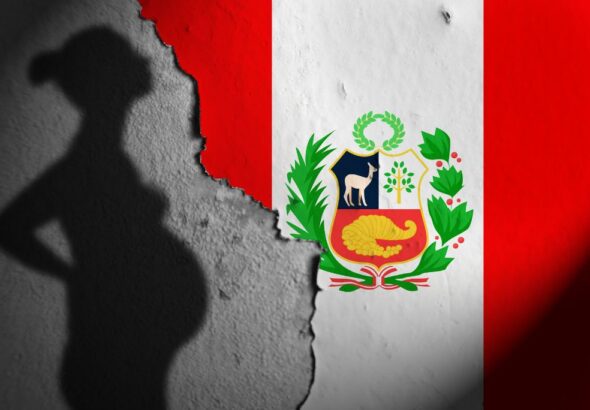 un-respiro-de-alivio-el-tribunal-constitucional-no-legaliz-la-maternidad-subrogada-en-el-per