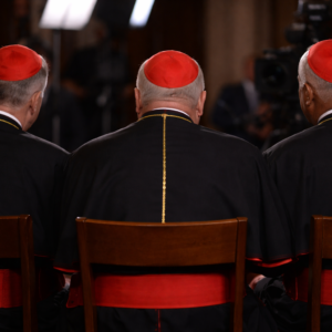 cardenales-en-entrevista-en-estudio